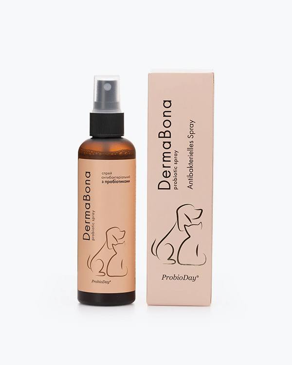Спрей ProbioDay DermaBona антибактеріальний для загоєння ран, з пробіотиками, 100 мл