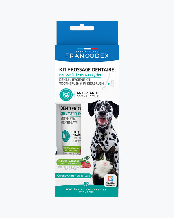 Зубна паста Francodex Dental Kit + щітка, набір для собак та котів, 70 г